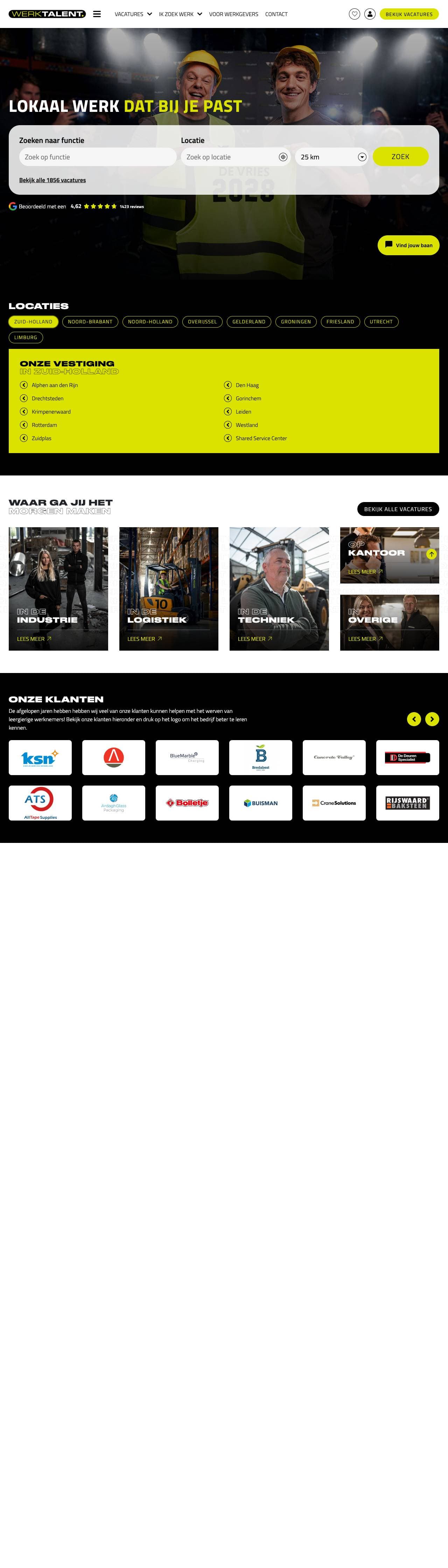 Voorbeeldweergave van de geteste pagina op werktalent.com